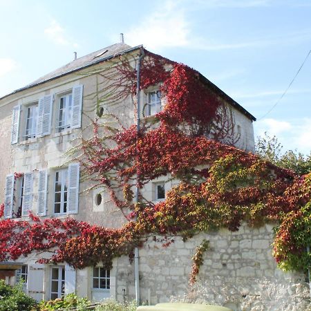 Gite Au Calme Avec Jardin Et Wifi A La Roche-Posay - Fr-1-541-52 Villa Buitenkant foto